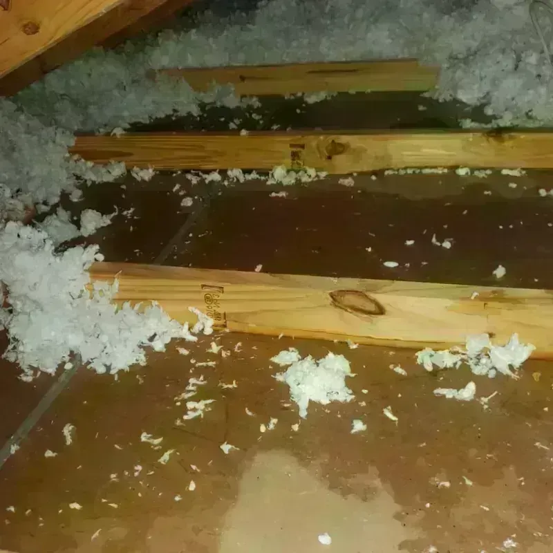 Attic Water Damage in Brookhaven, NY